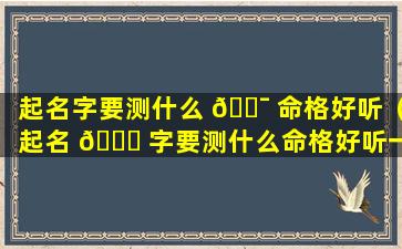 起名字要测什么 🐯 命格好听（起名 🐟 字要测什么命格好听一点）